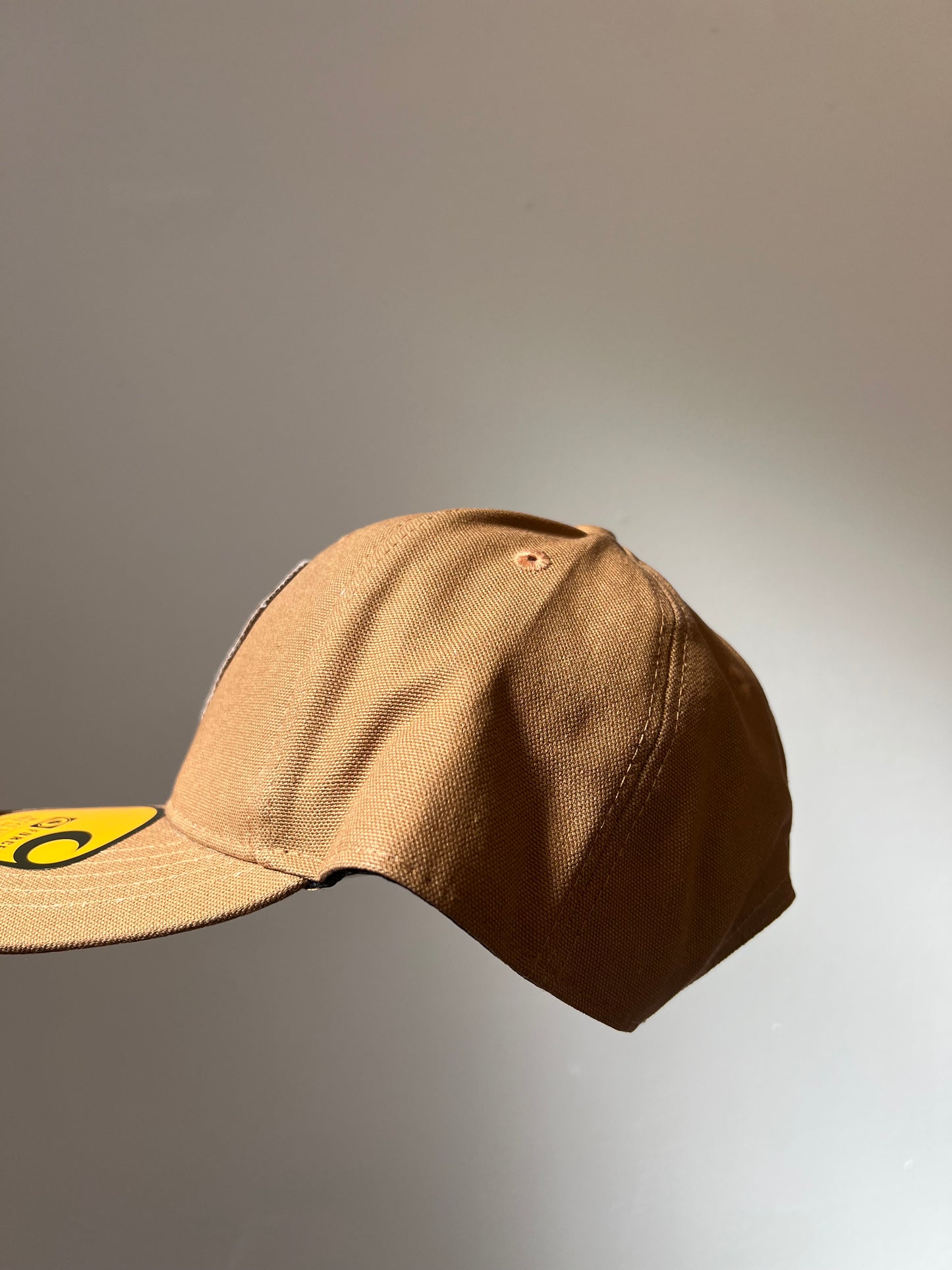 Ex Carhartt Force Canvas Mountain Patch Snapback Baseball Cap