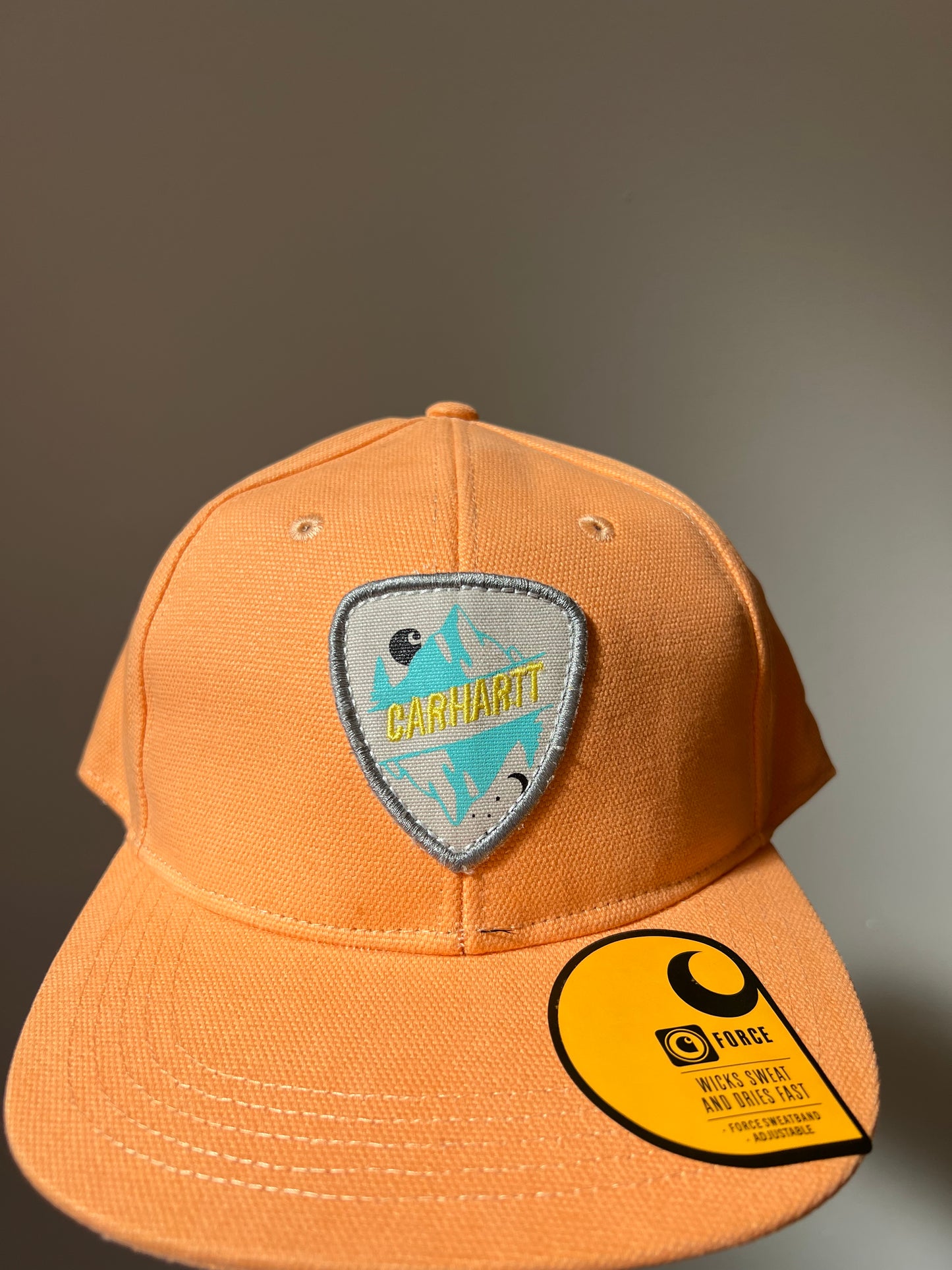 Ex Carhartt Force Canvas Mountain Patch Snapback Baseball Cap