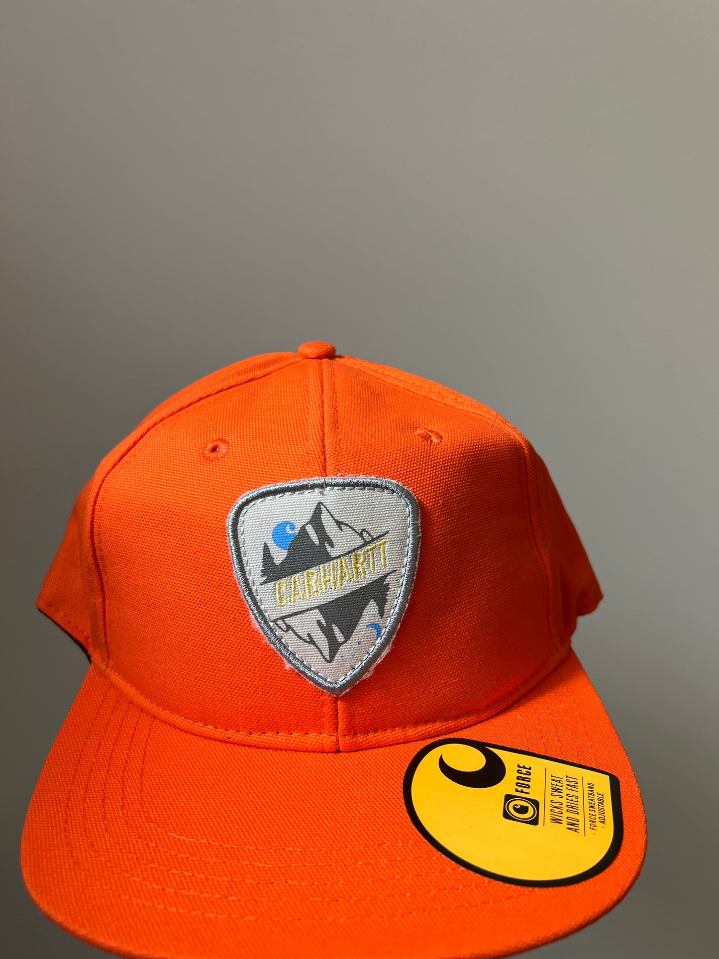 Ex Carhartt Force Canvas Mountain Patch Snapback Baseball Cap