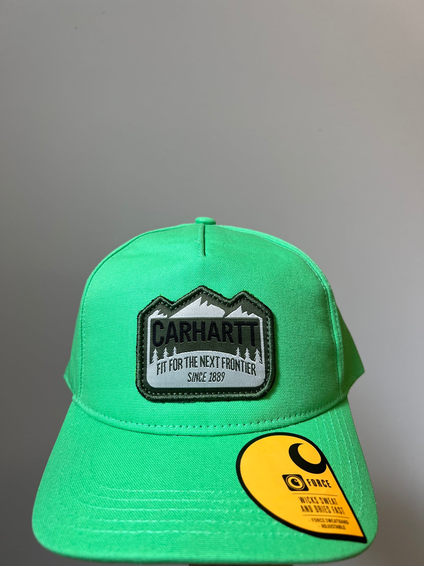 Ex Carhartt Cap Mountain Patch SnapBack Baseball Cap